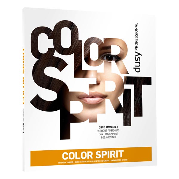 Color Spirit Farbkarte