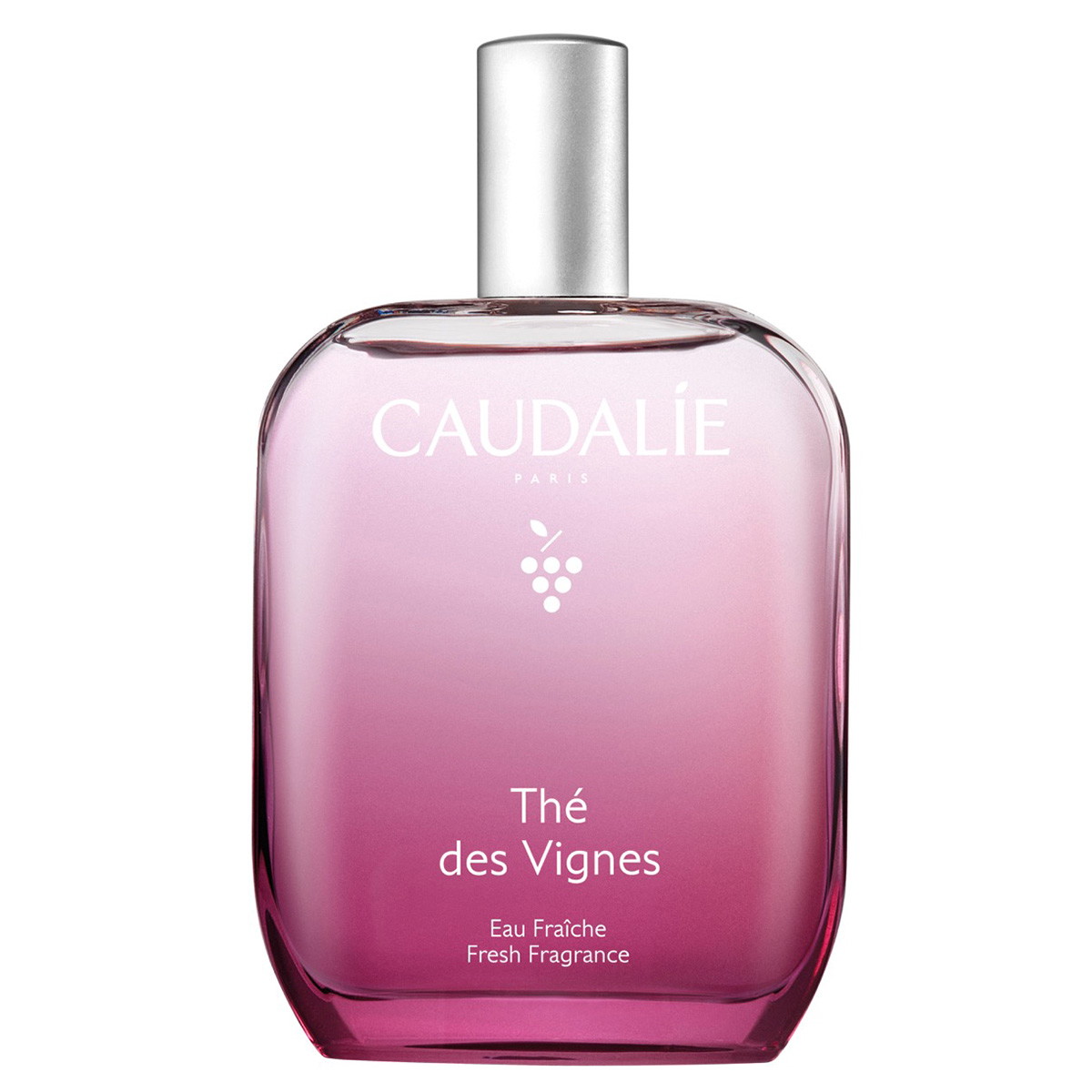 Thé des Vignes Eau Fraîche