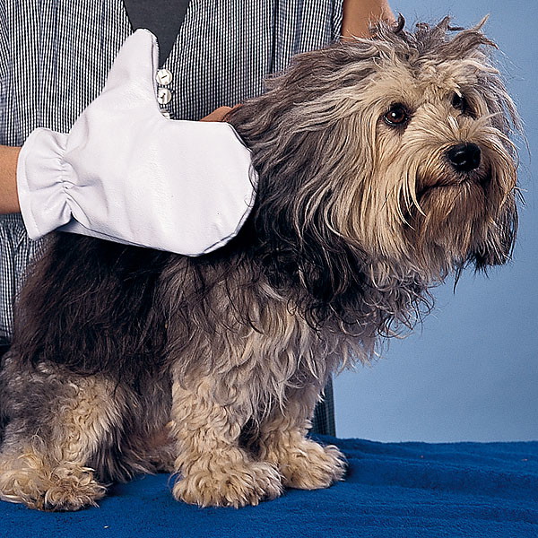 Fur care glove