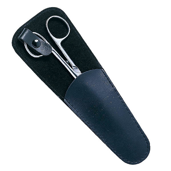 Scissors case