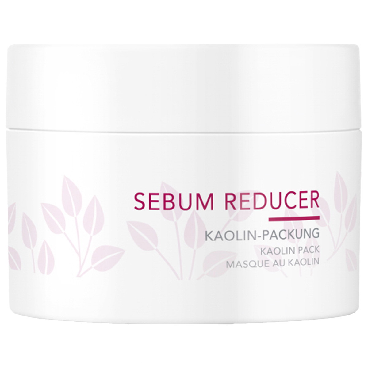 Sebum Reducer Kaolin-Packung