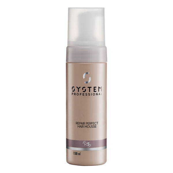 Repair R5 Perfect Hair
