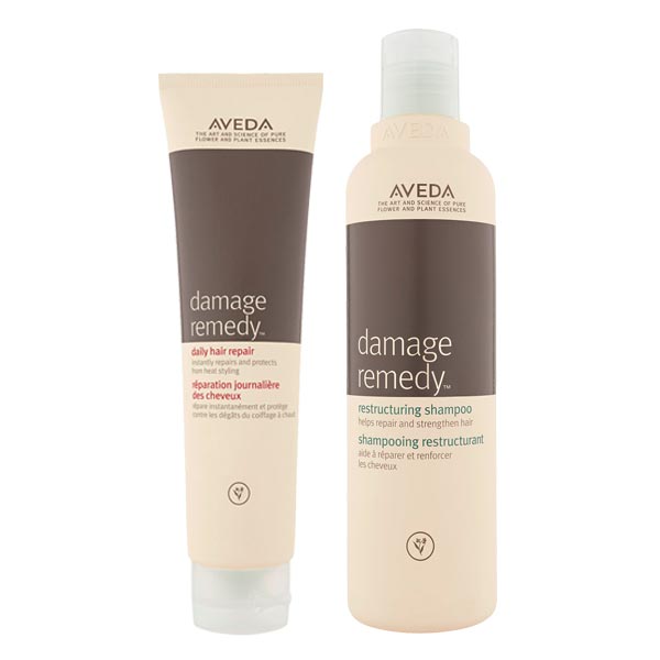 Damage Remedy Damage Remedy Set (Leave-In 100ml + Shampoo 250ml)