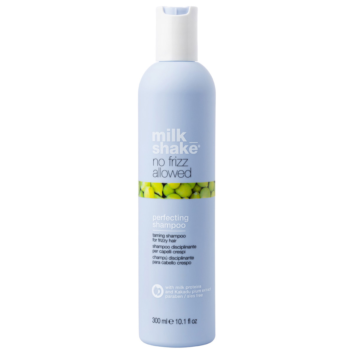 No Frizz Allowed Perfecting Shampoo