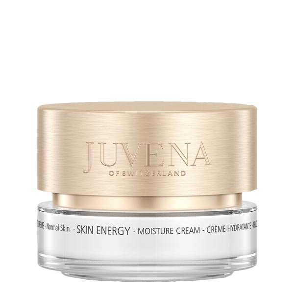 Skin Energy Moisture Cream