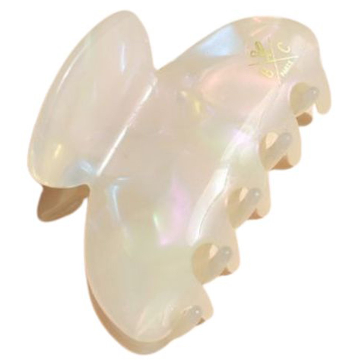 Seashell Clip