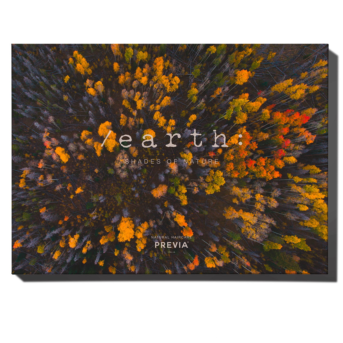 Earth Carte de couleur
