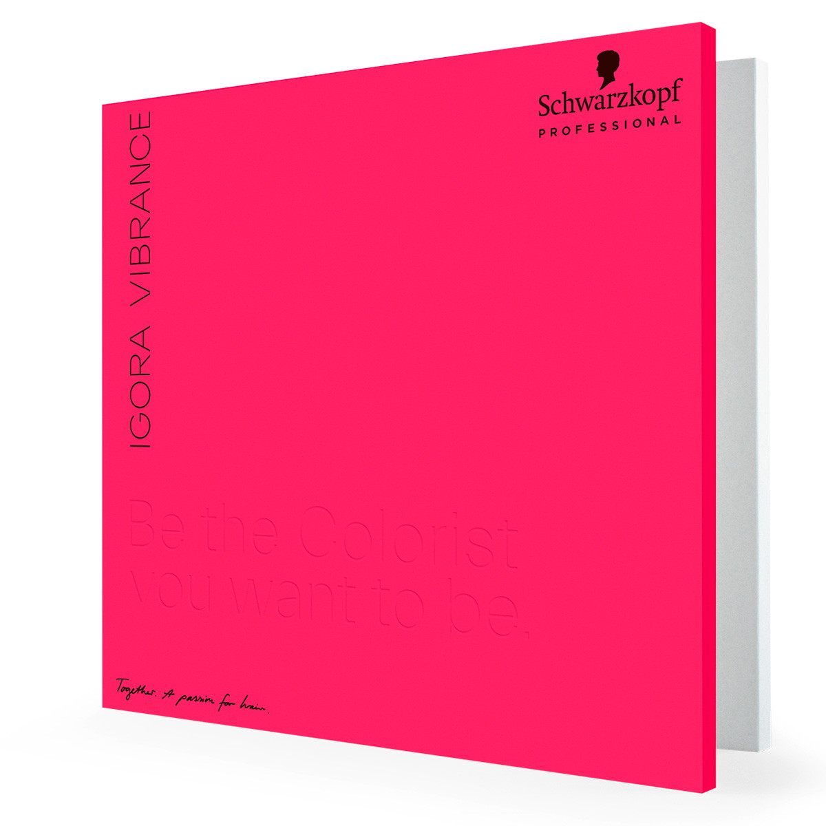 IGORA VIBRANCE Scheda compatta a colori