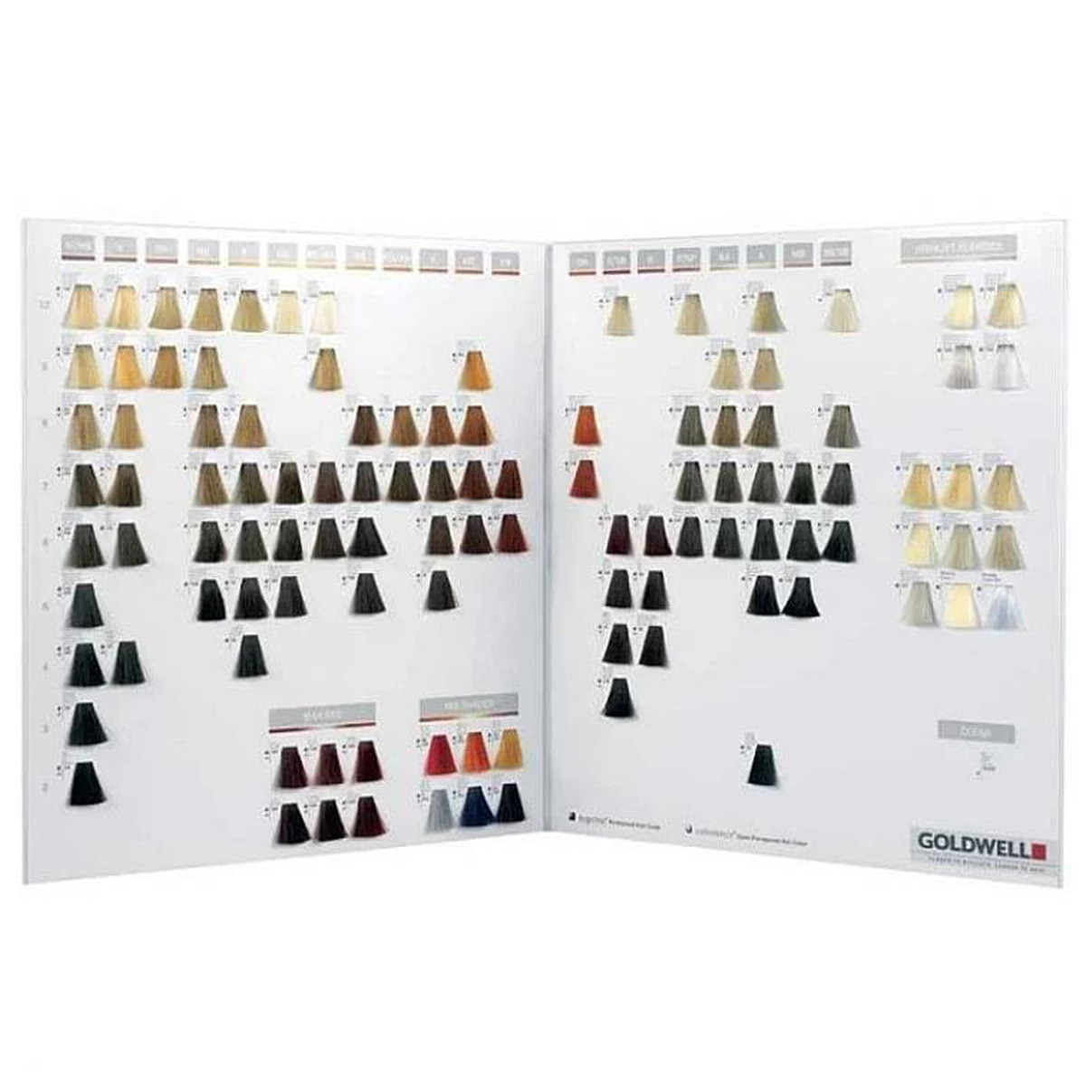 Topchic Colour chart
