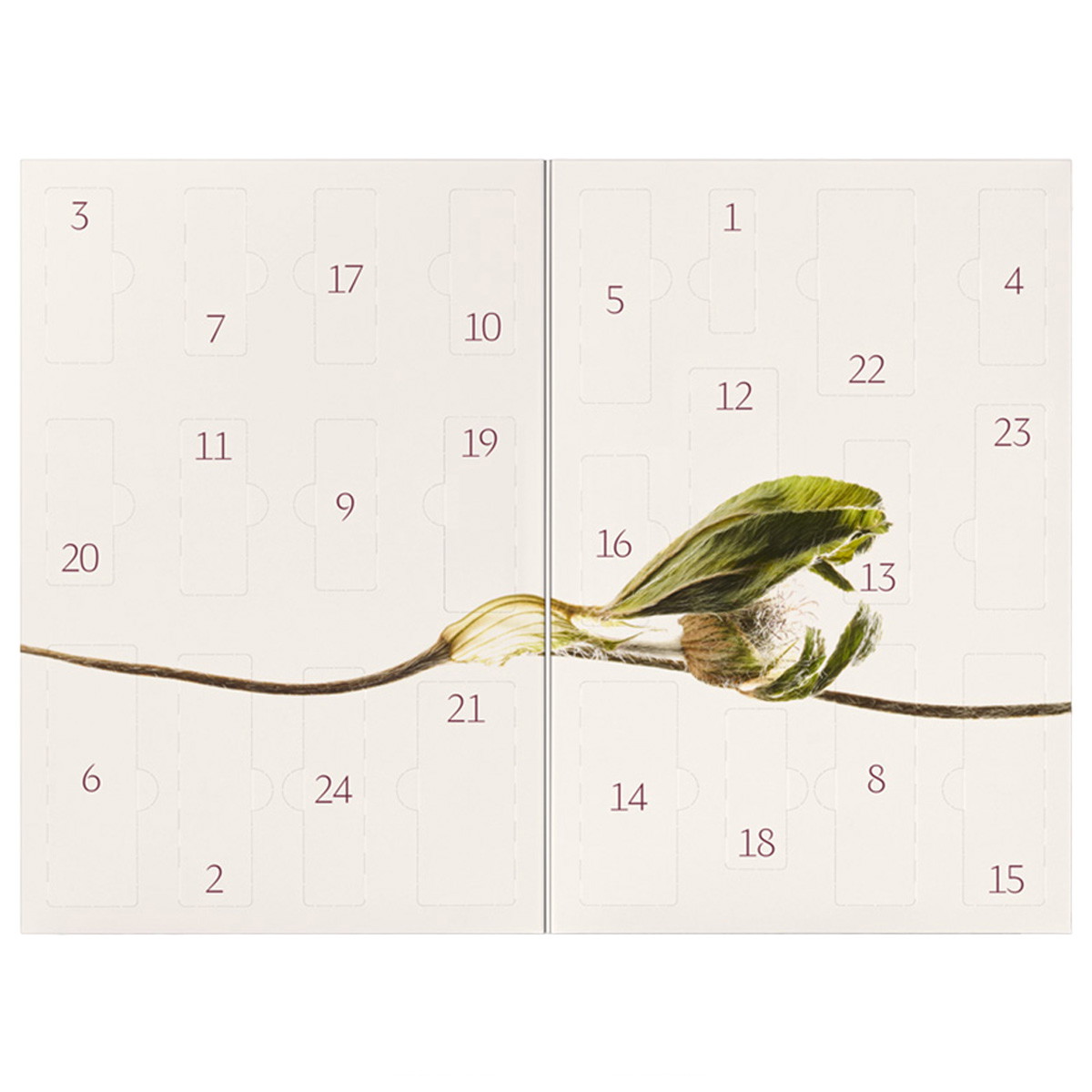 Adventskalender 2026 „bliss – Radiance Ritual“