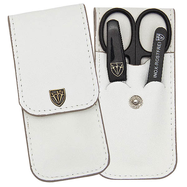 Manicure case
