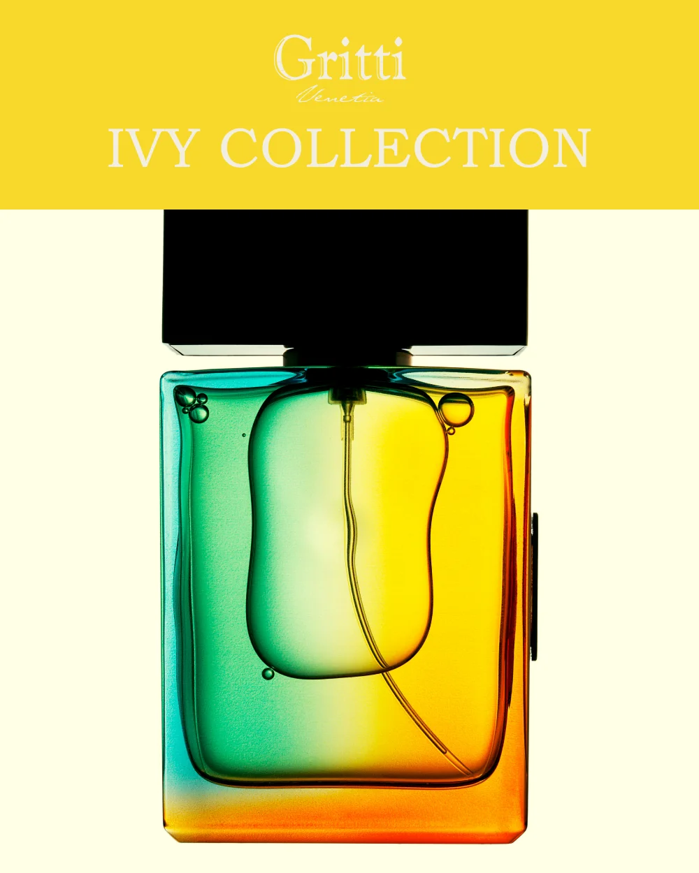 Ivy Collection