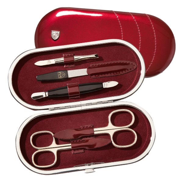 Manicure case