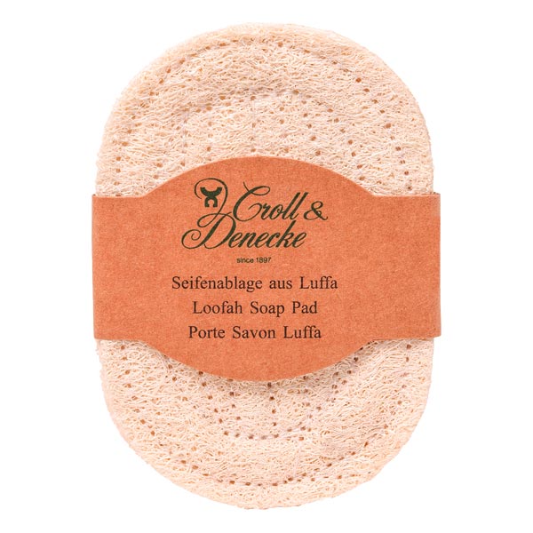 Soap dish loofah