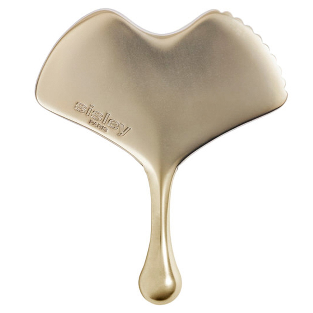 Ginko Gua Sha