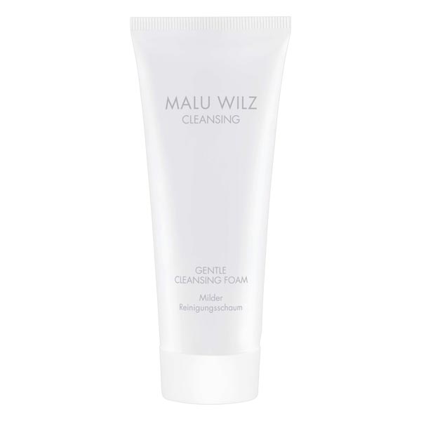 Cleansing Gentle Cleansing Foam