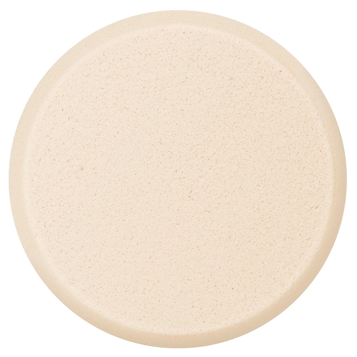 Foundation Sponge